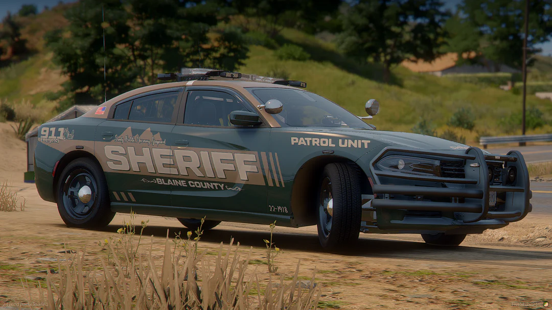 Department Patrol